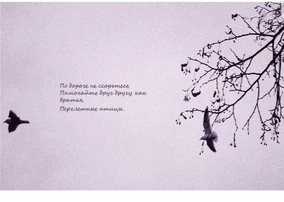 ����� ���� ����� �������� ������ ��������, ���������� � ��������!