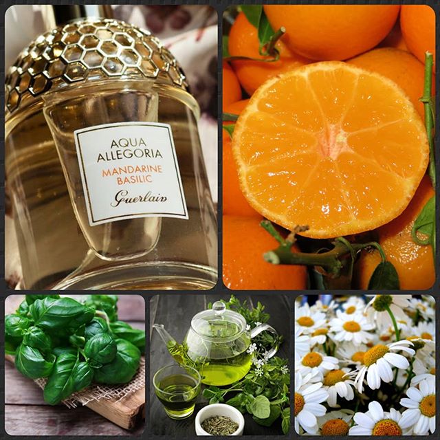 ���� ������!  ����������� ������� � ������� ���������!)