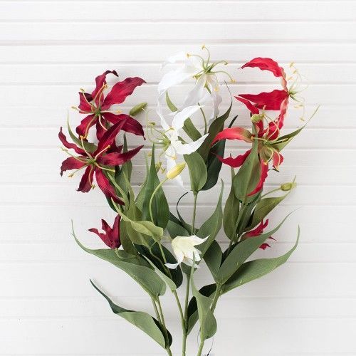 ������ � ����� ������! ��������� � ��������-���� �� ���������, ������� � ���������� ������� ����� ����������!