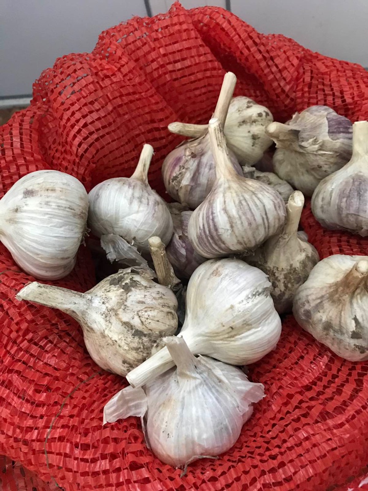  ������ !������ ������!!"���"�� ������!180� -�� !��� ���� 9%! 