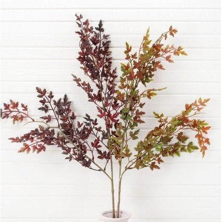 ����� ����� ������� �������, ���������� �� ���, �������� �� ������, � ���� �� ����� ���������������