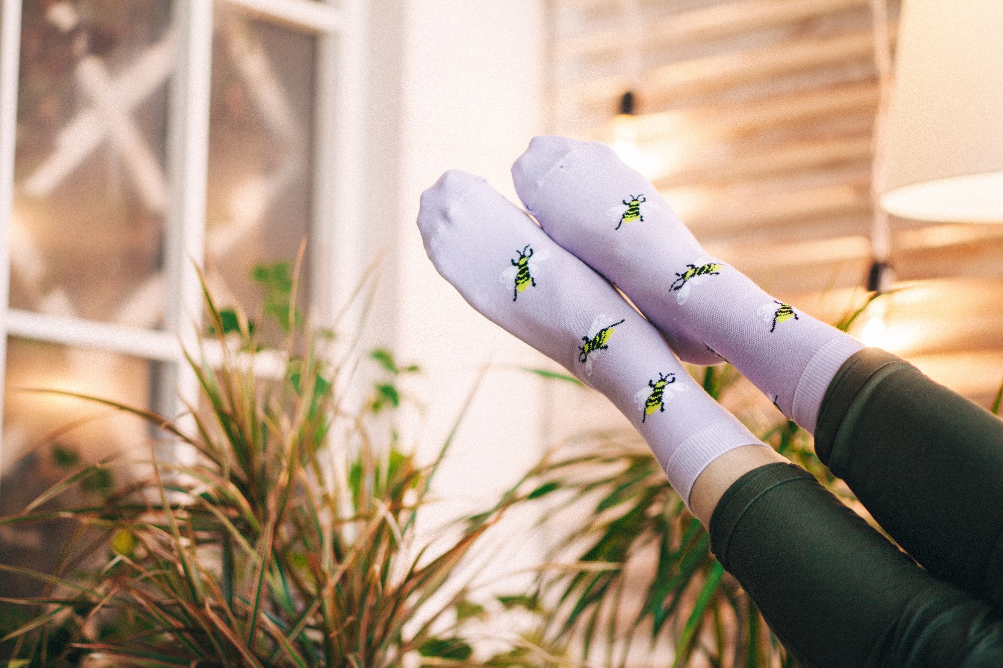 ���� �������. ����� ��� ���� ����� �� 