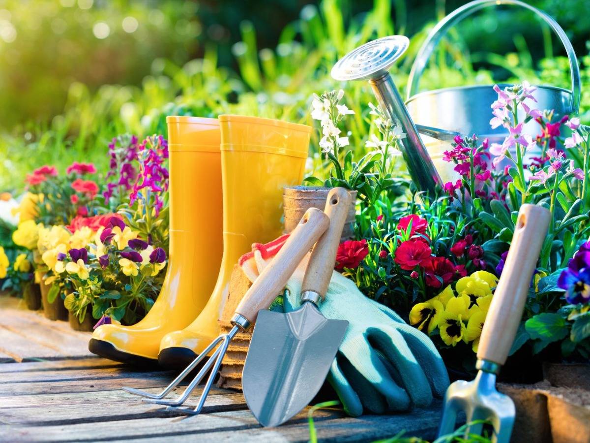 ������� ������� ������� - �����������, ������, ������, �����, � �ӣ ���������