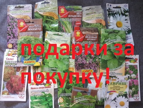 ��������! �����!