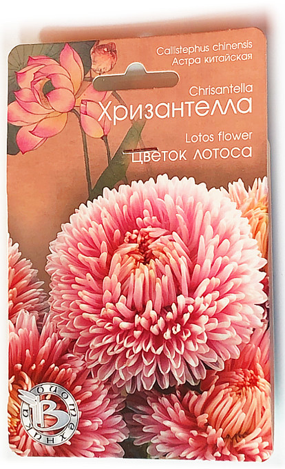 ������ ��� ���������. ����� ������������� �����������! ����������������� �����������!