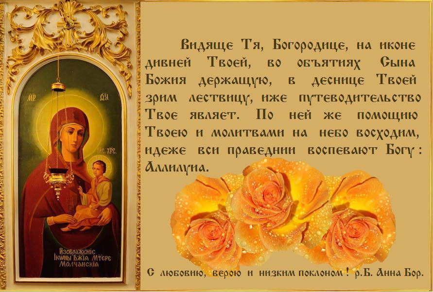 ������  �  ��������������  ���������  ���������� !