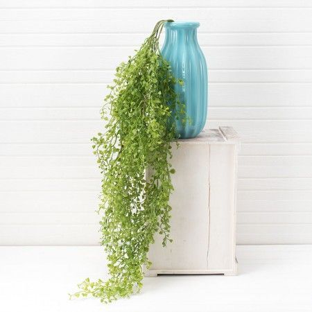 ���� ������� �������, ����������!