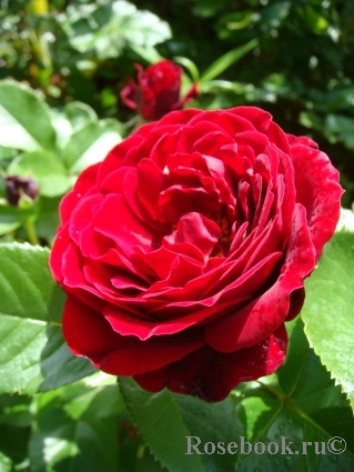 ���� �� 31.10. ��������� ���� 2020