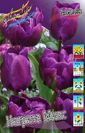 ���� �������. ���������� ��������� ������� �� ����� ��� ������� ������ (�������� ����).