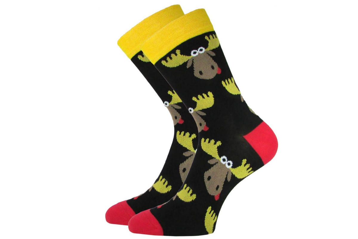  ���� �� 21.10. �������. ����� ��� ���� ����� �� ������������� ����������� �������� �������. ��� ��� ��� ����� �����, �������� � �������. 