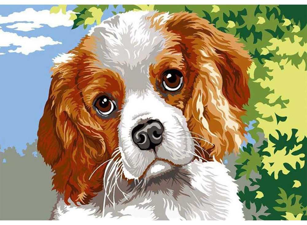 ���� �� 14.10.���������� ���� ����������! �������-��������� �� ������� �� ���� �� 300 ���.����� ���������� ����� 1000 ����� �������.�������� ������� � ������������.����� 78