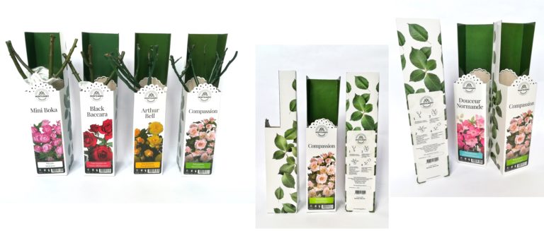 ���� �������. ���� ��������� 3.