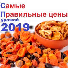 ������, �������, ������, �������, ��������� � �������� - ����� ������ ����! ������ 2019! 