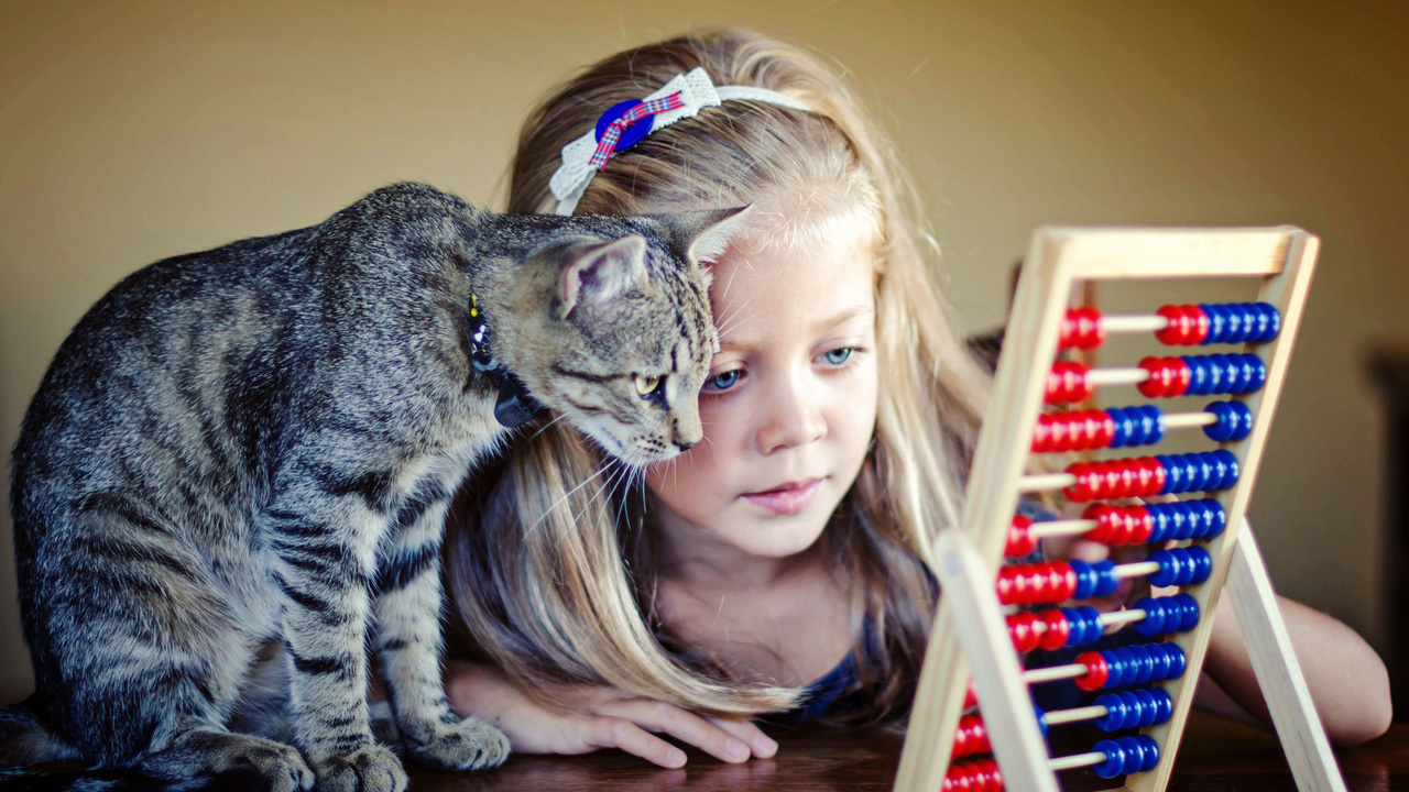 ������ ����������� ���� � ��������! ������� ��� - ��� ������! ����������� ������� ������. ������ �� ���� ���� �����! ������� �������! ���� ������