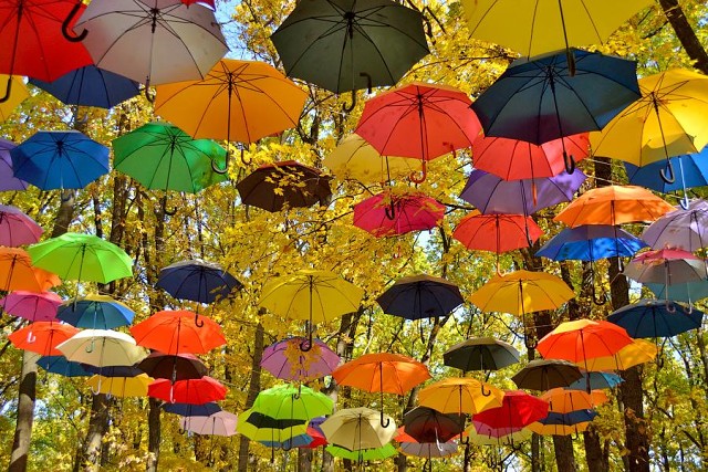 �������� ����������!!! �������� ����� �������, ������� � ������� ������, � ����� � ������������ ���������, �������� � ������.