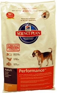 ���� ��� �����. �������� �����������. ������� 30.10.