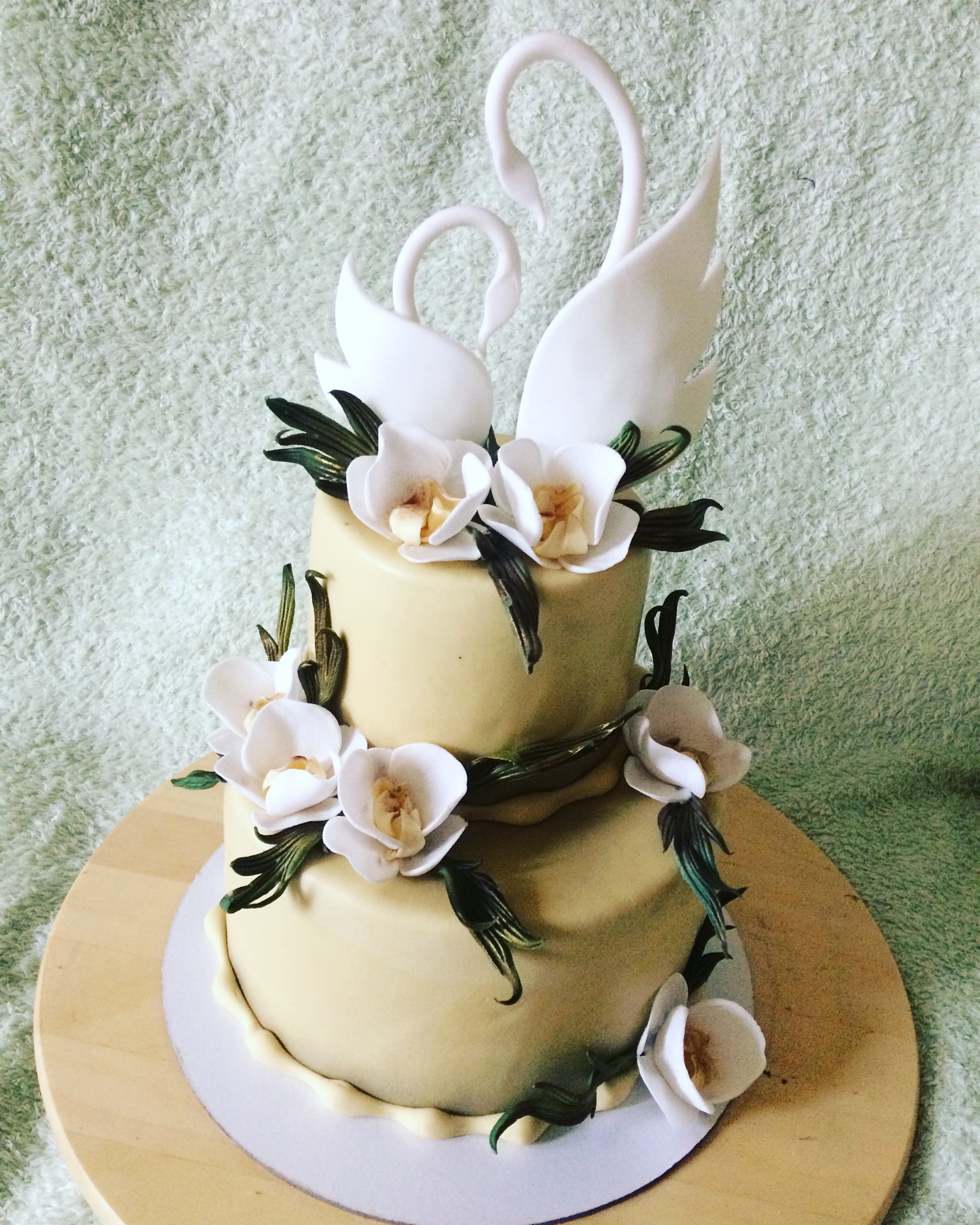 ������������ �������� ����� �� �����. ������� �� ������ �� ���������!