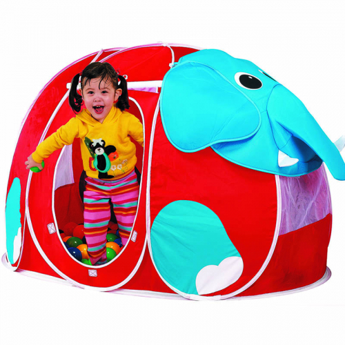 ���� � ������! �������� �����!