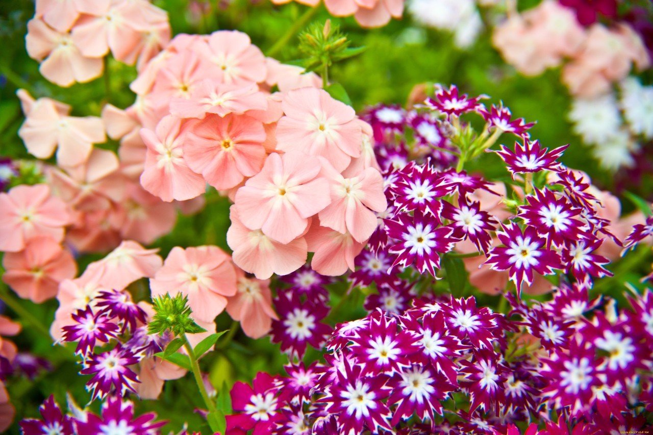 ���� ������� �� 25.11. ������ � ������������ �� ��*����*������ ���*������� ���������