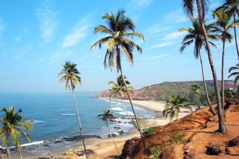 ���� �� ����� � �� ������ �� ��������! ������ ������������! ������� ����! �������������-���������-���������� ������.