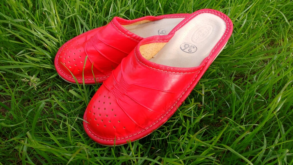 ���� �� 10/11. �������, ���� �� ����, ������� � ����������� ����������. ������� � ���������. ��� ����� 42