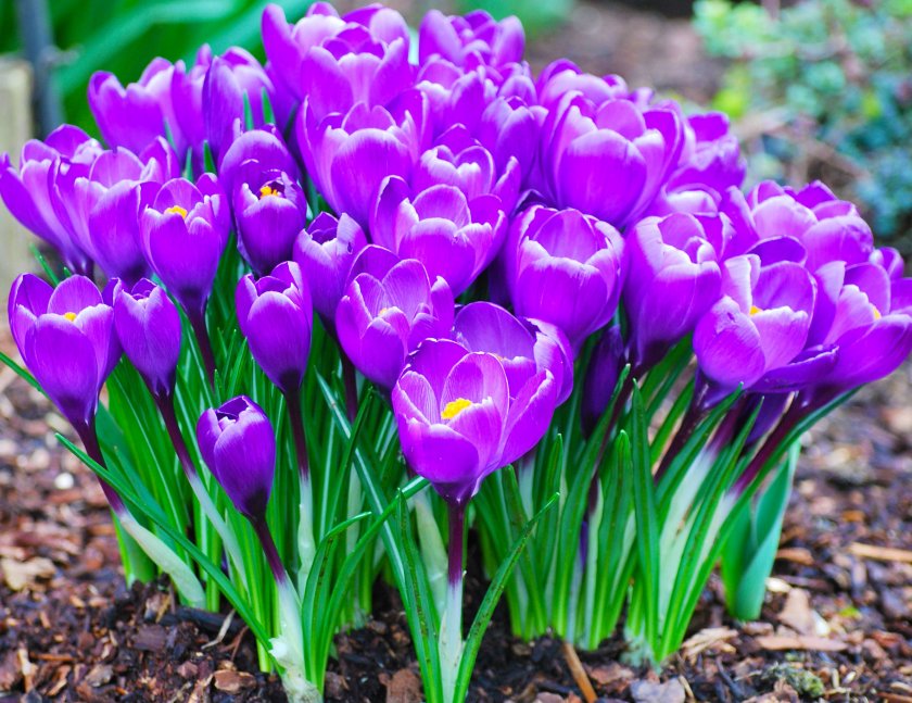 �������� ���������!!������� ������.����� ��� ��������!������� 27.10