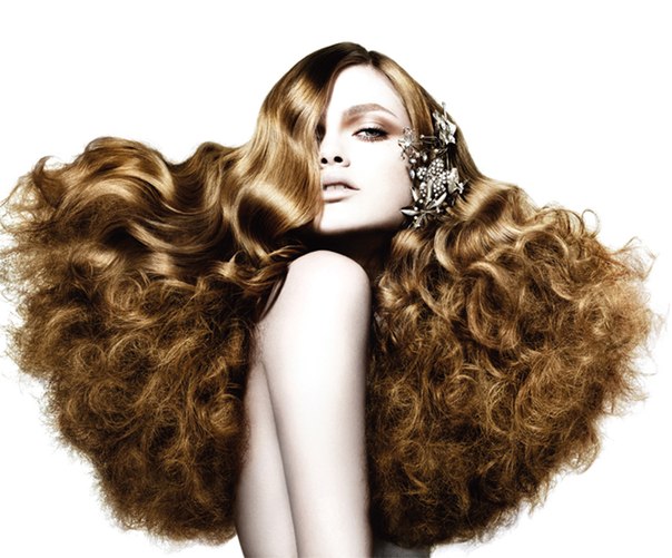 ���� �� 11 ������.�������� ����� �� �������� �� LoRe@l professionnel - ���������� ���� ��������� �������!������� ����� ��� �� 19 ������.