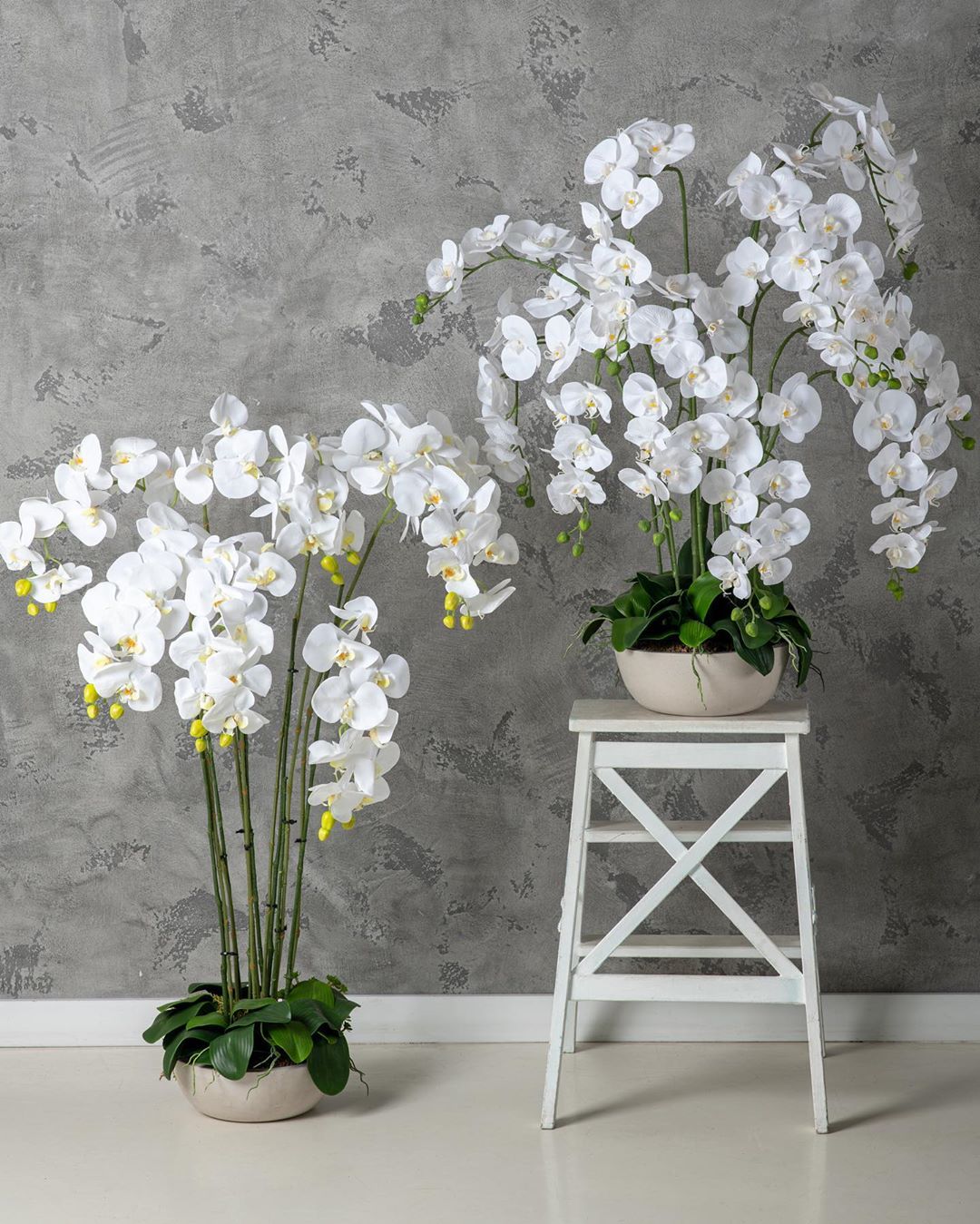 ��������� � ����� �������� �������!!! ������������� �������� � ����� ��� ������ ����