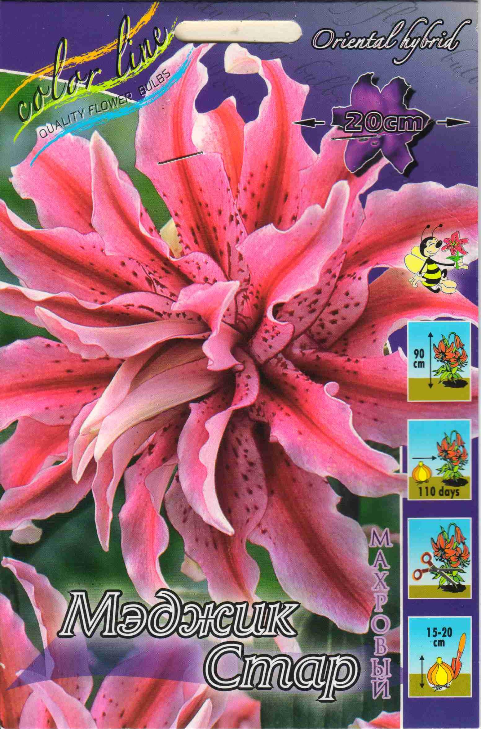 ���� �������. ���������� � ������������ ��������� ����� 2020.