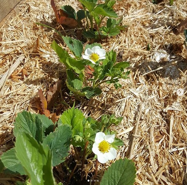 ]��������� �� ������ ��������� ����������