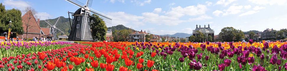 ���� �������. ���������� � ������������ ������ �� ����� 2020.