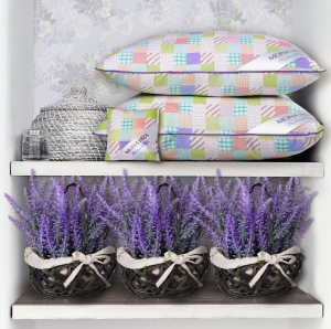 ������� � ������ � �������������� ���� - ������ � ����� ������