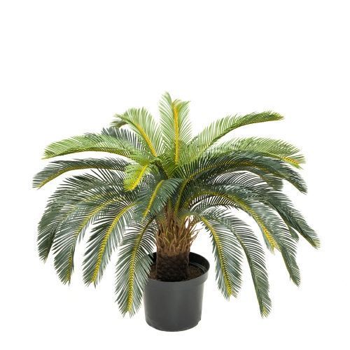 ������ ����� ���� ������������� �������� � ������