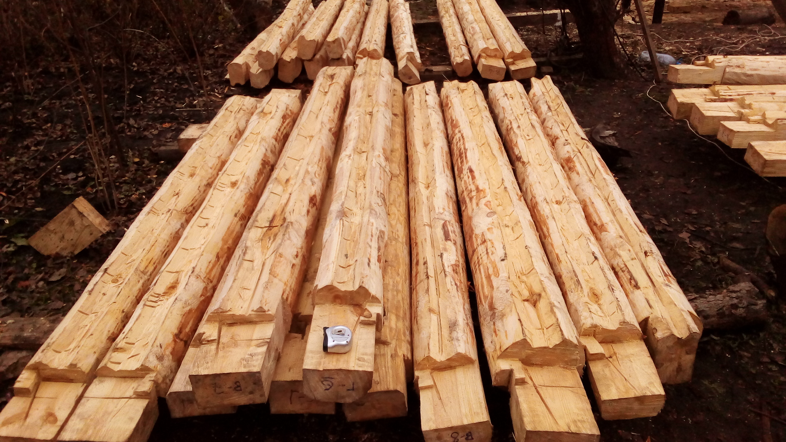 ��������� ���� �������