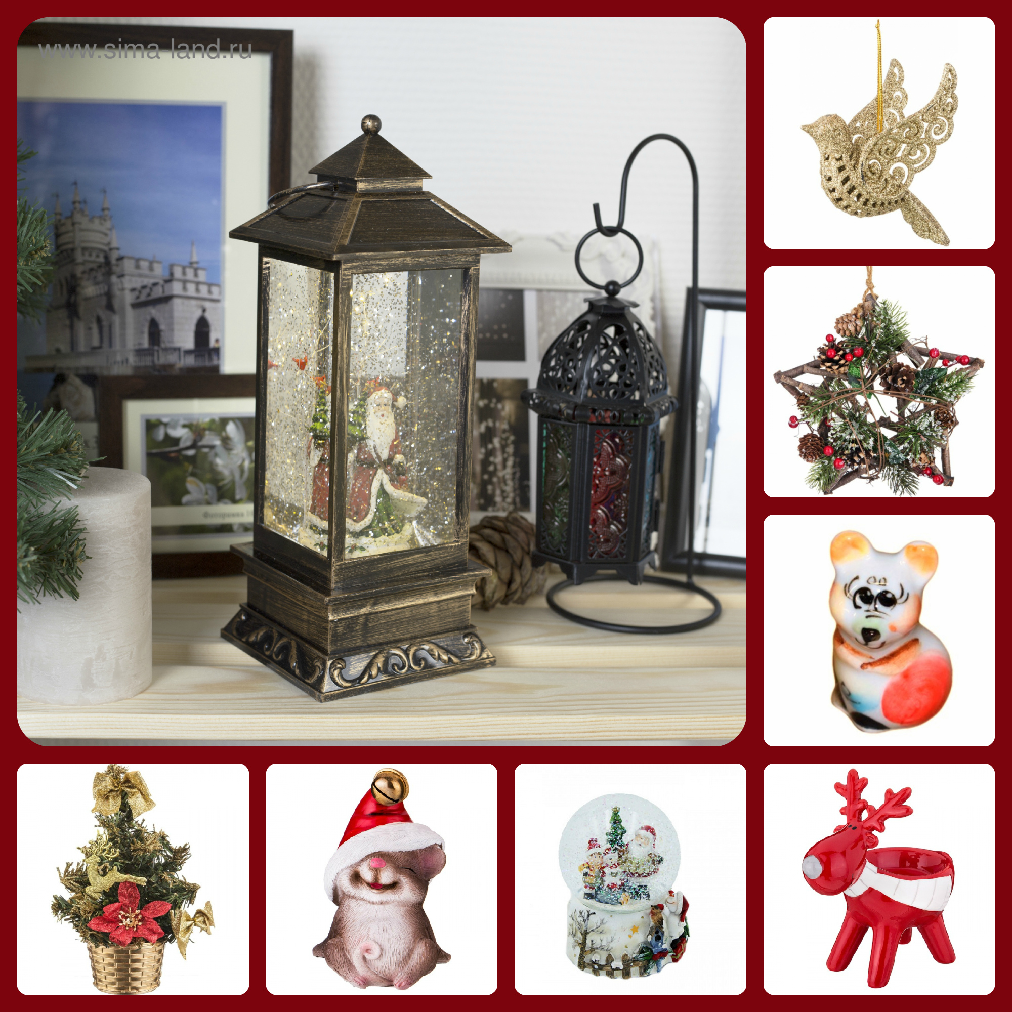 ���� �� 19.11. �������� ���������� � ������ ����, ����������� ����������, �����. �������� � �������� ���� 2020!- 2