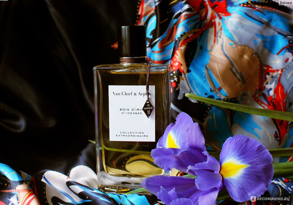 ����� ������ ���� � ��������, ������ �������� �� ��������, ��������� �������� ������������� � ���, ��� �� ������ �������� ��� ���� ����������� � �������, � ���� ������ � � �