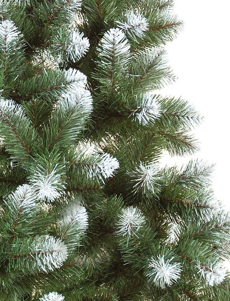 ���� �������. ��������, ������, �������� ������� �� ����� ���. ������������� ���� ������������ ������ � ����������. �������� �������� �� ��������� ����.