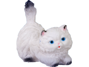 ���� �������. ������� ��� ����� - ������ ����� ���������� ������������! ���� �� 35������