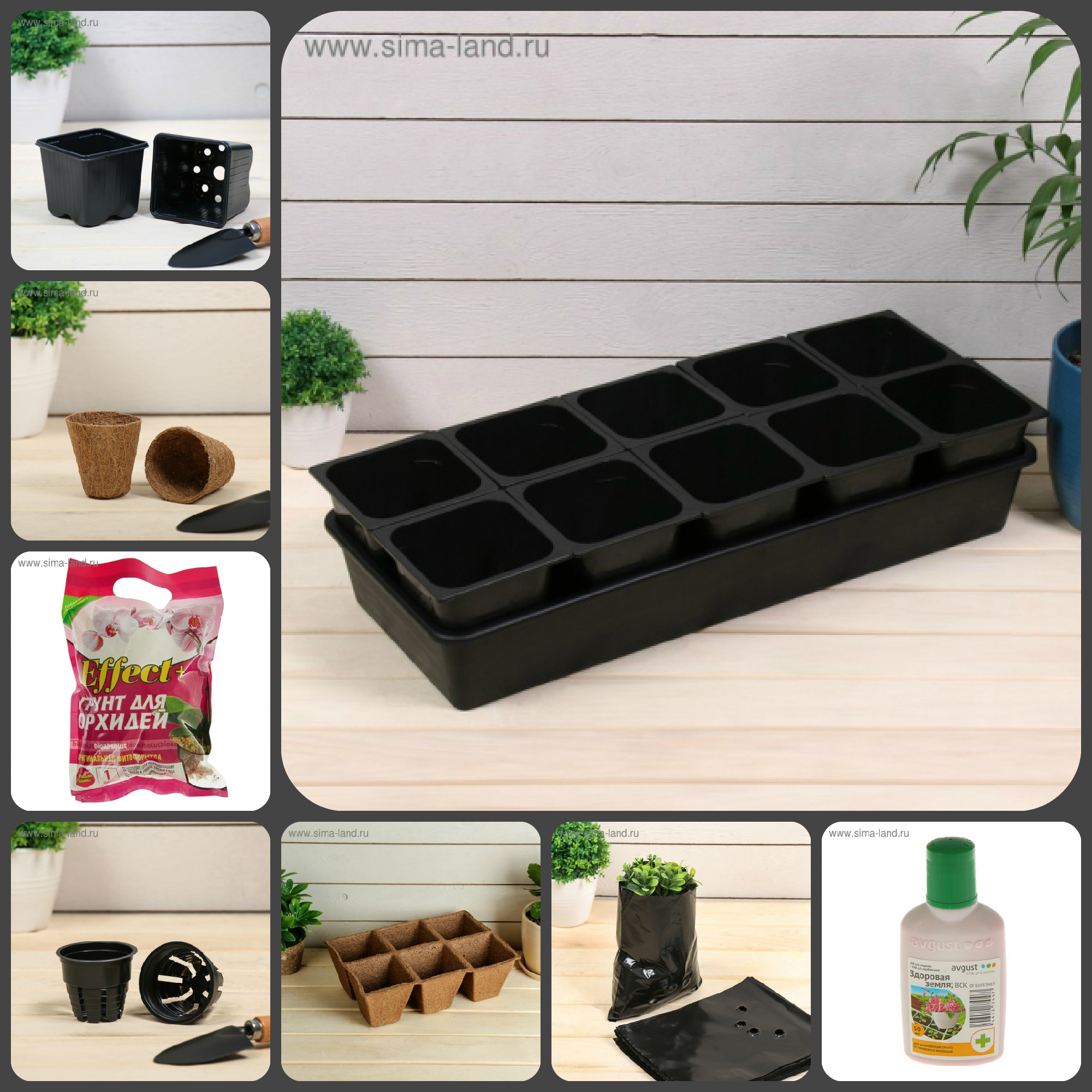 ���� �� 27.11. ����-����: ������ ��� �������( ����������; ������������ ��� ��������) ������ � ��������� (����������� � ���������). �������� ������ ��������. ������������� ������.