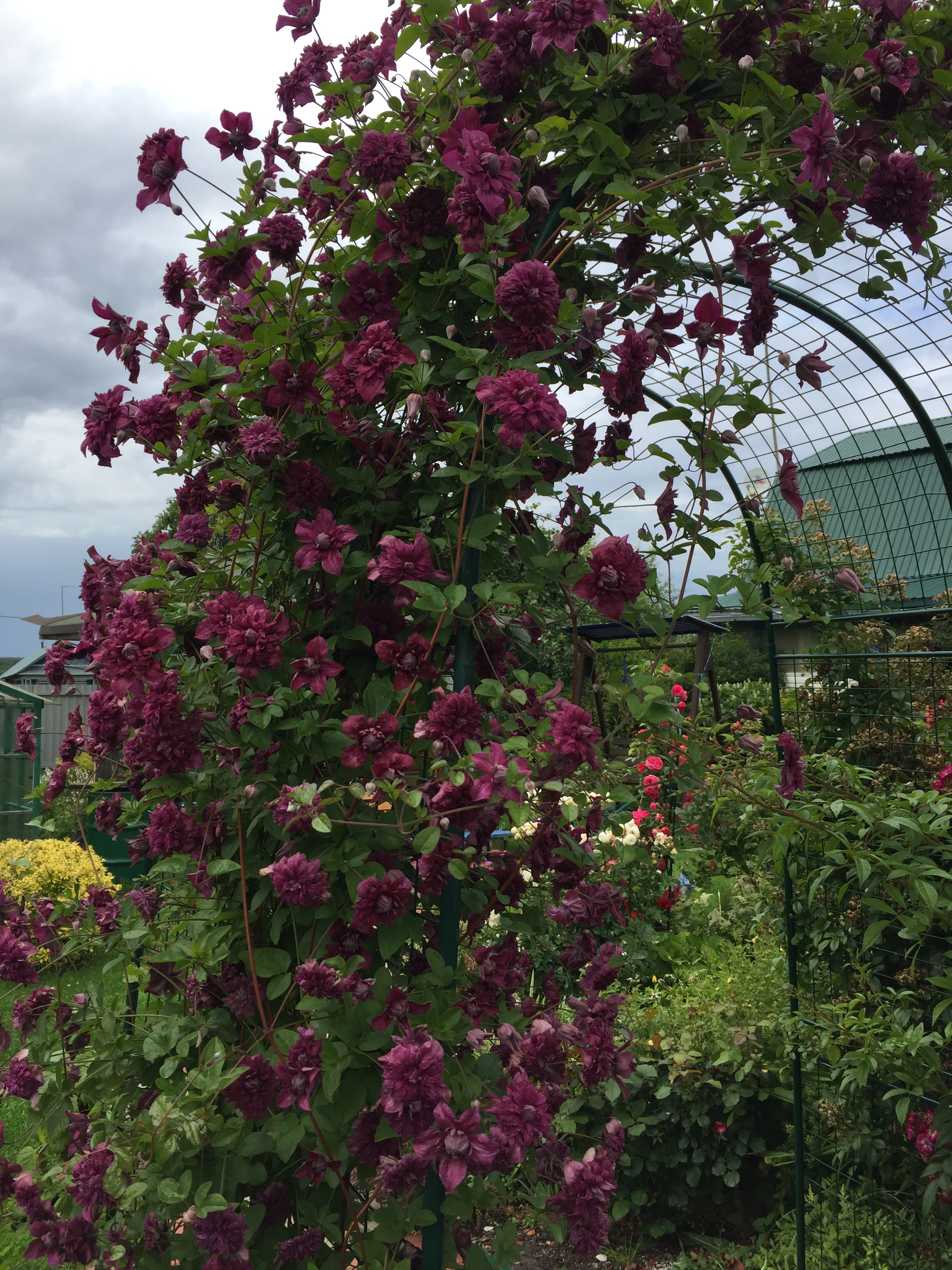 ���� �������.  ������ ����� �� �ӣ 1 ��� � ����! ����, �������, ����� ��� �������� ��������, �������������� � ��. ��������� �� ����� 2020.