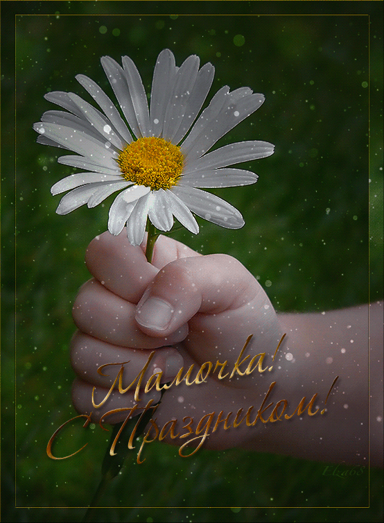 ���������� ���� ������� � ����������!