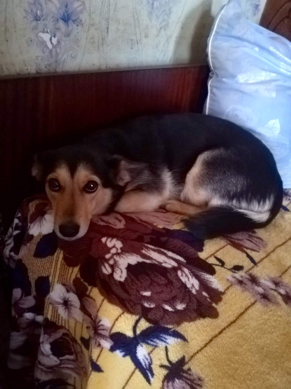 ������!!! ����� ��� �������. ���������� ������ ����. 