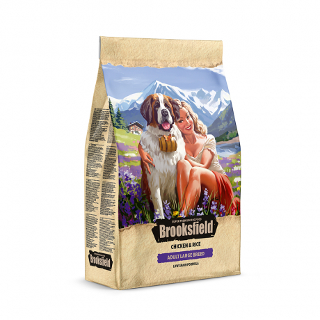 ���� ��� �����. �������� �����������. ������� 25.12.