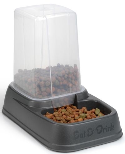 ������ ��� ����� � �����. ������� 25.12.