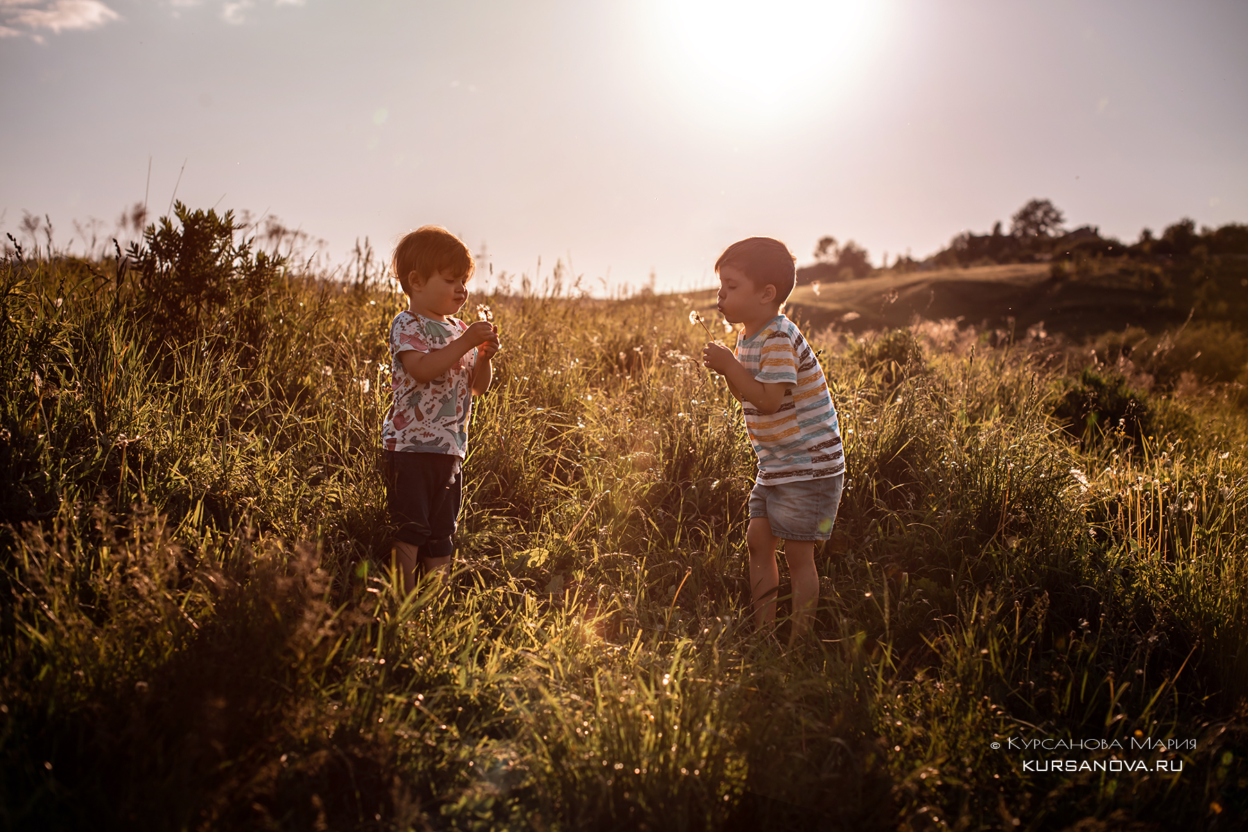 �������� ��������� �����. ������������, �������������, ��������.