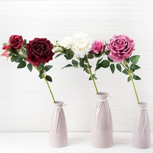 ��������� � ����� �������� �������!!! ������������� �������� � ����� ��� ������ ����