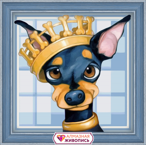 ���� �������. �������� �������: ������� �� 165� ������� �� 132�. ������� ��������, ������������ ������ 13/19