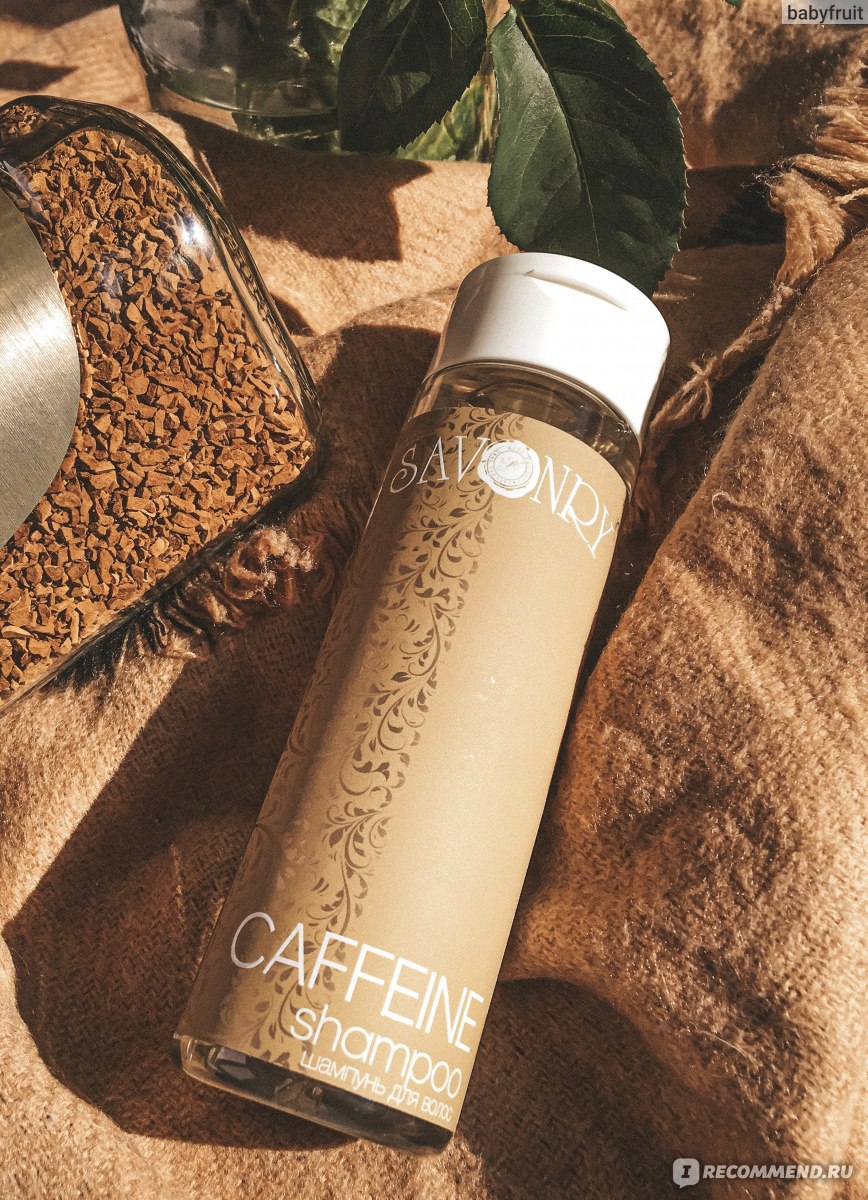 �������� �� 04.12. Savonry - ����������� ��������� ������ ������ ��� ����, ����, �����! ����� 21