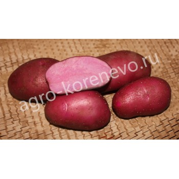 ���� ������� �� 4.01. ��������� ����� 2020�. �������� ��������� .�2