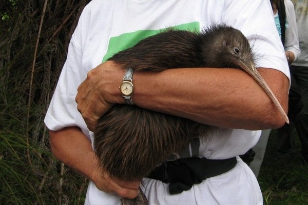 ��� ���, ��� �����, ��� ����� ���� �������� �������